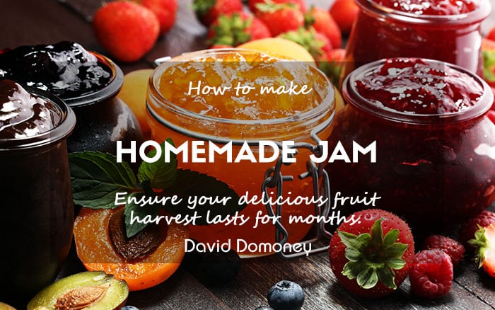 Homemade jam how to make blog feature newsletter 2024