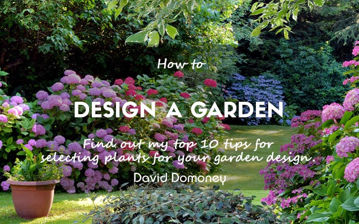 How to design a garden