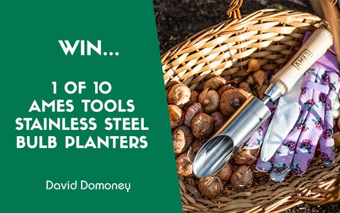 Ames Tools Prize Draw September 2024 Feature Bulb planters