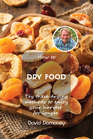 How to dry food feature image