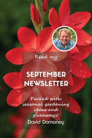 September newsletter blog feature 2024