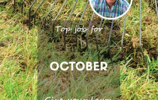 Scarify lawn october 2024 feature