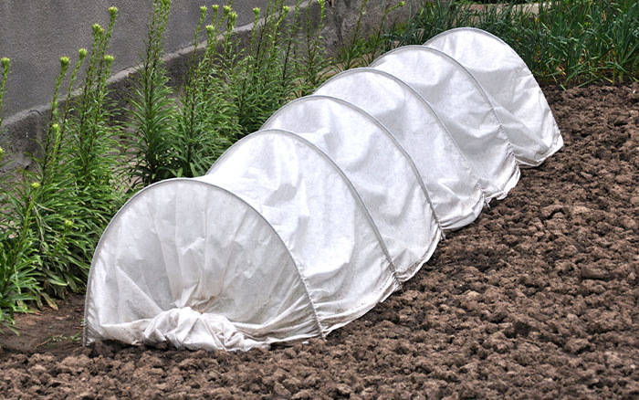 How to warm soil with a mini polytunnel