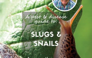 Pest and disease guide to slugs and snails feature