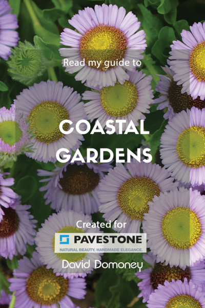 Coastal Garden Designs