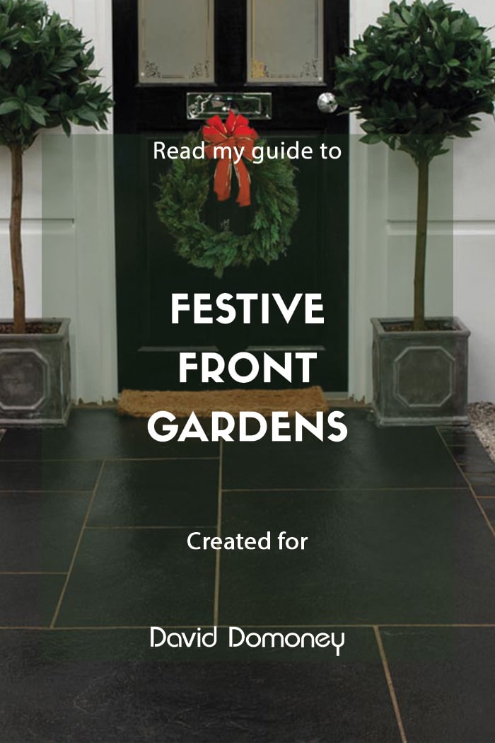 Festive Garden Patios