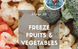 How to freeze fruit and vegetables feature