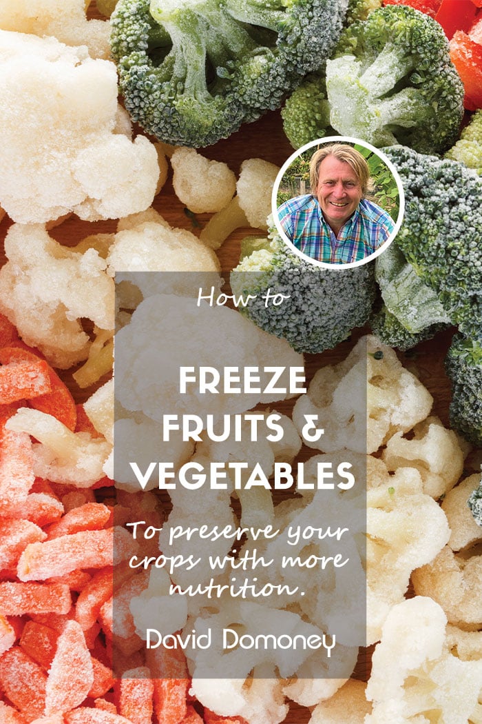 How to freeze fruit and vegetables feature