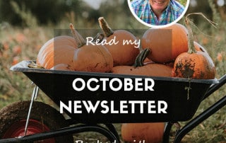 October Newsletter 2024 Feature