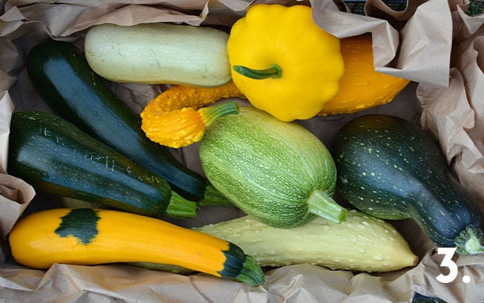 Harvested squashes