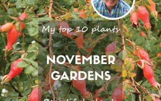 Top ten plants for november 2024 gardens feature