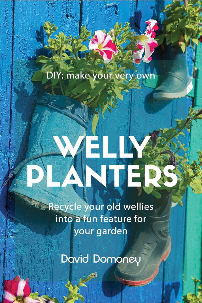 welly planters