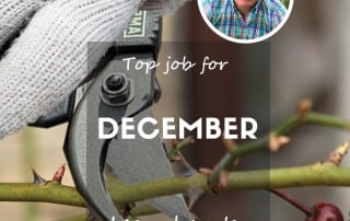 David Domoney Top Jobs for the Month December 2024