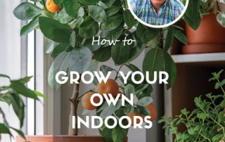 Grow your own indoors feature