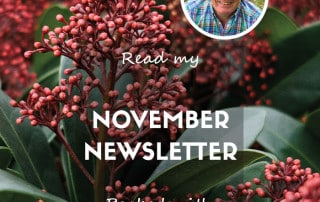 Newsletter Feature November 2024