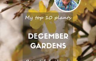 Top ten plants december gardens 2024 feature