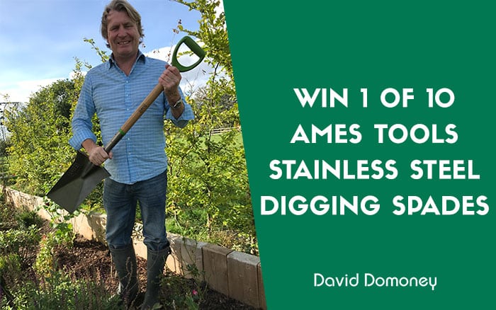 Ames tools stainless steel digging spades prize draw image December 2024