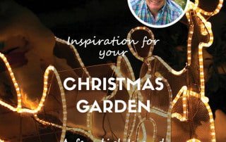 Christmas garden feature