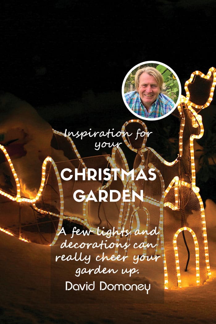 Christmas garden feature