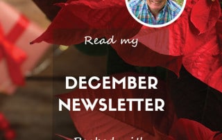 December newsletter 2024 blog feature