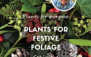 Plants for a purpose festive foliage feature december 2024