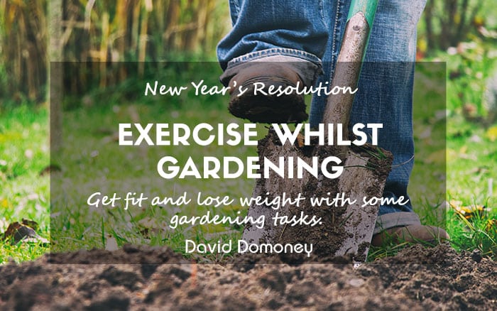 Exercising new year resolution