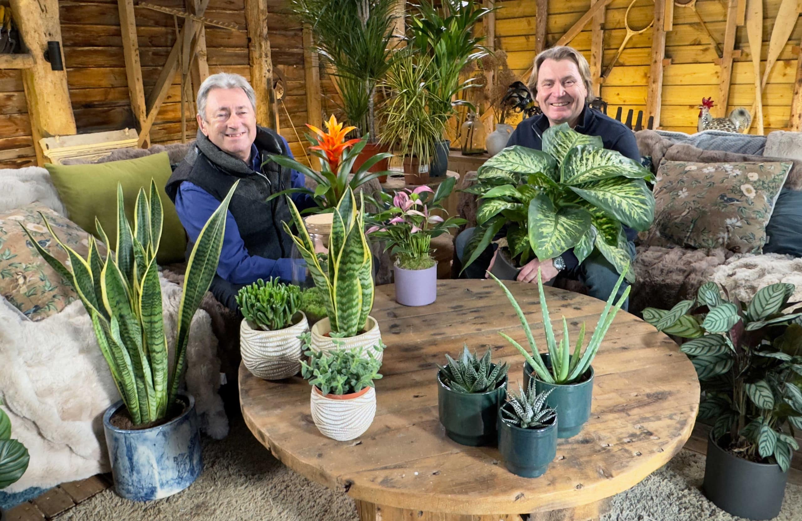 Love Your Weekend Houseplants David Domoney Alan Titchmarsh