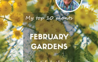 February top ten plants 2025 blog feature