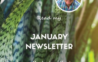 Jan 2025 Newsletter blog feature