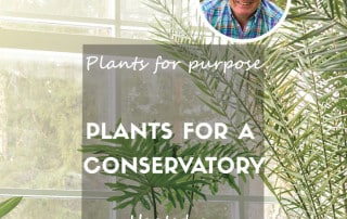 Plants for a conservatory feature