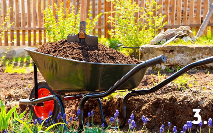 Tip 3 roses wheelbarrow organic matter