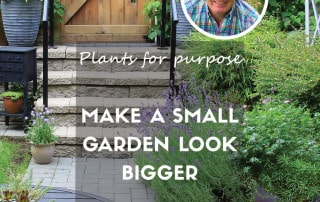 make a small garden look bigger plants for purpose feature March 2025