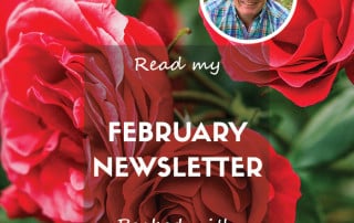 February feature 2025 newsletter