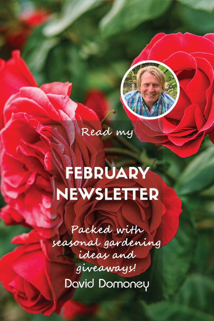 February feature 2025 newsletter