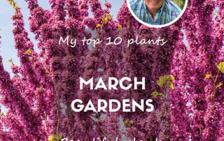 Top ten plants for March 2025 gardens