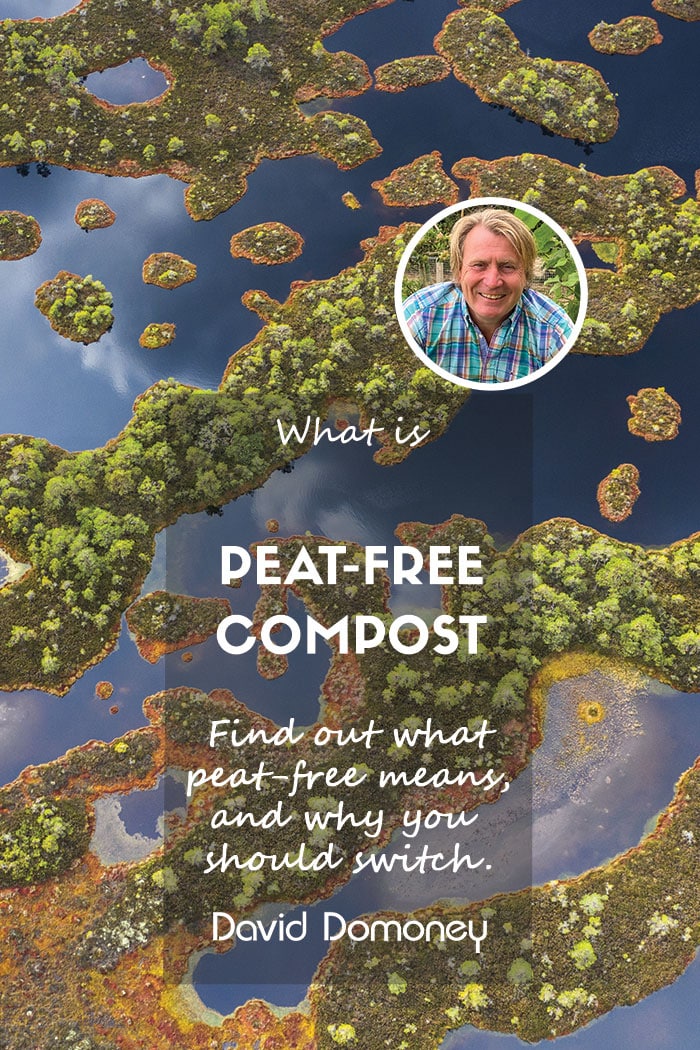 peat-free compost feature