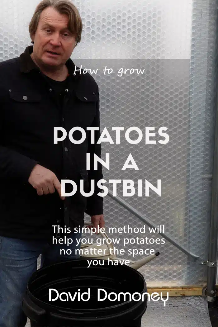 How to grow potatoes in a dustbin