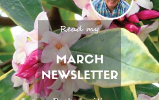 March newsletter feature 2025