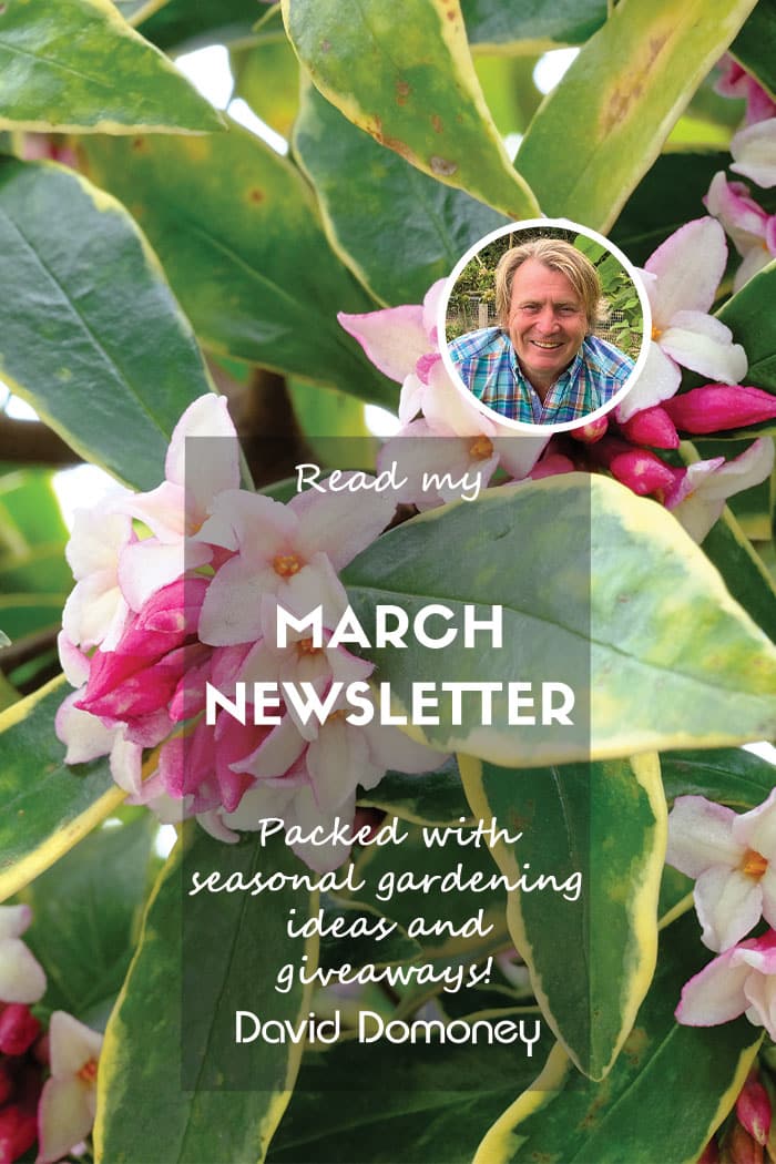 March newsletter feature 2025