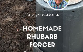 Homemade rhubarb forcer feature